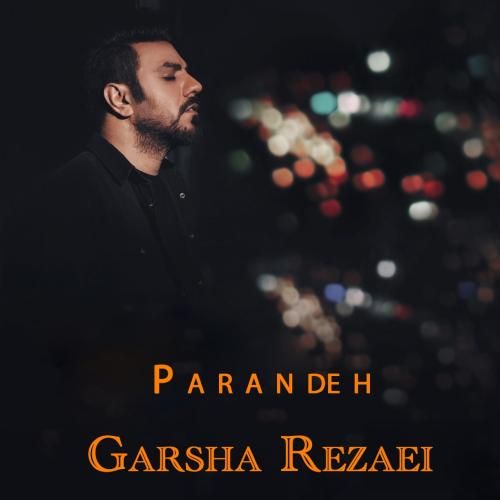 دانلود آهنگ من منم اون یه پرنده درد همه بالمو کنده حیف میخوان از یادم بره پروازم گرشا رضایی