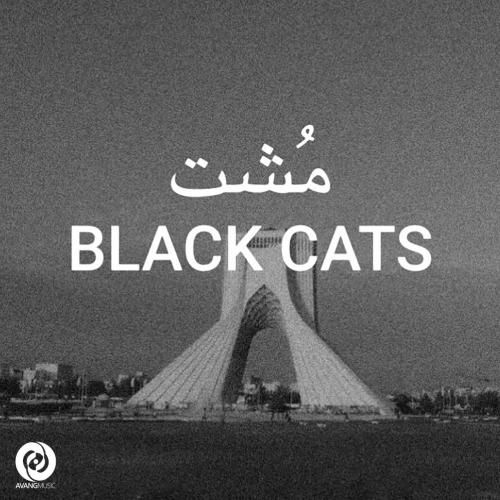 دانلود آهنگ مشت بلک کتس