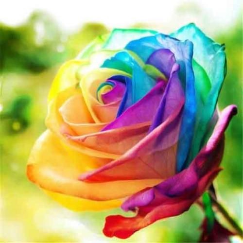 دانلود آهنگ رفتی  شهریار حق پناه 