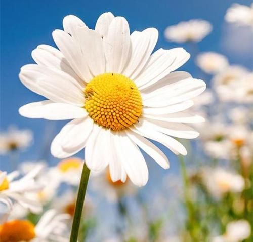 دانلود آهنگ آروم میگیرم کنار تو… دستات واسم حکم بهشته رضا فرشباف