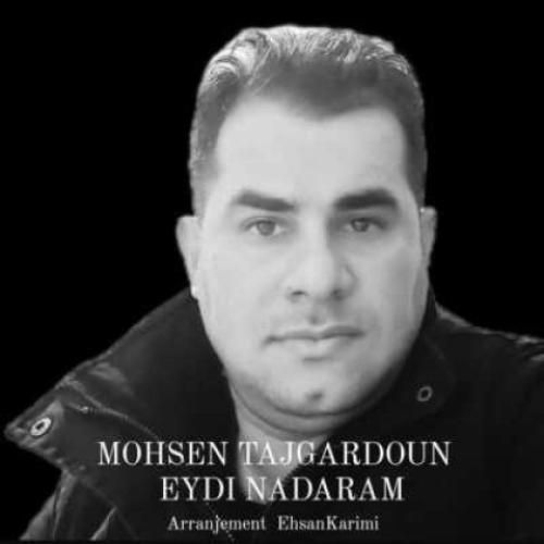 دانلود آهنگ عیدی ندارم محسن تاجگردون