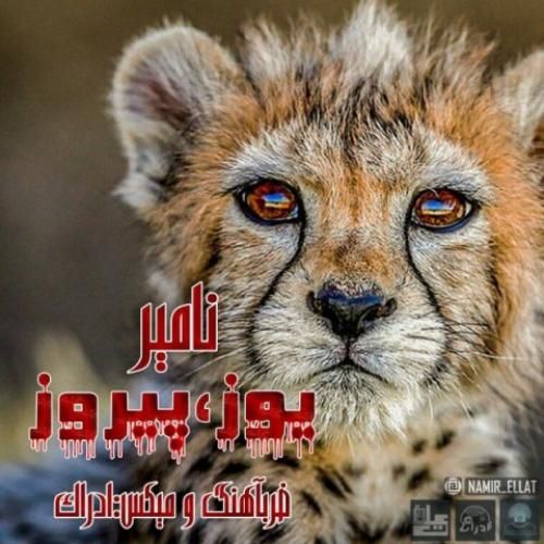 دانلود آهنگ یوز و پیروز نامیر
