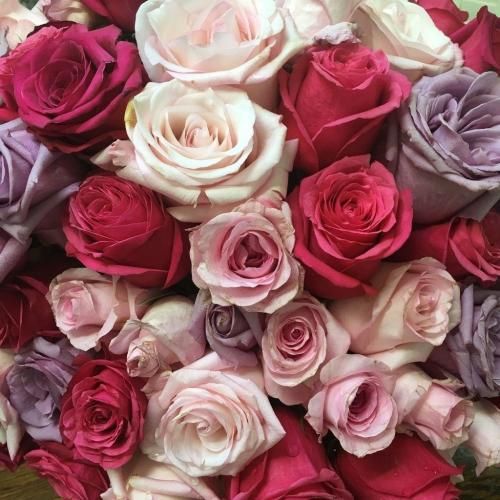 دانلود آهنگ اون طرز نگات دلو برد یه شبه آخه من به فدات بشم هی یه سره حسام راد
