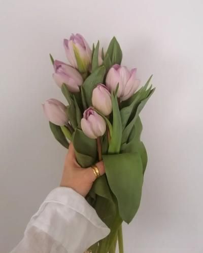 دانلود آهنگ تی چومان دریا منه غرقه کونه یار جان  سینا صداقت 
