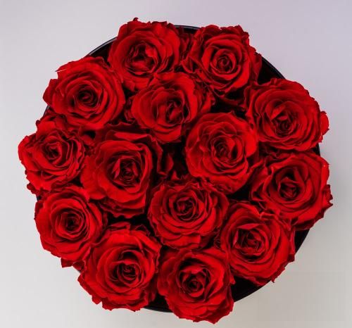 دانلود آهنگ گُنه کردم گناهی پُر زِ لذت آرش فرخزاد نباتی 