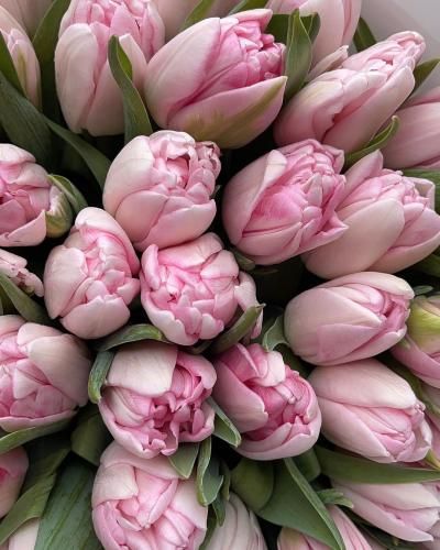 دانلود آهنگ جون من جون من جون من میشه سر بچرخونی رو به من مهدی منافی 