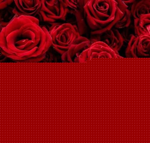دانلود آهنگ مجنون شیدای توام غرق تمنای توام پس کی میایی علیرضا شمشکی 