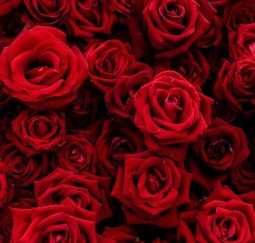 دانلود آهنگ شبگردی  نیما جهانی 