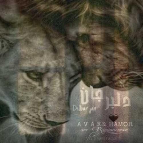 دانلود آهنگ دلبر جان  آواک و هامور