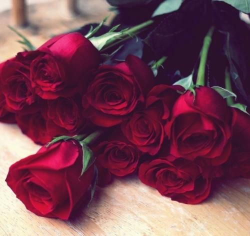 دانلود آهنگ نه صبری مونده نه حوصله دارم برای دیدنش دل بی قرارم مرتضی جعفرزاده 