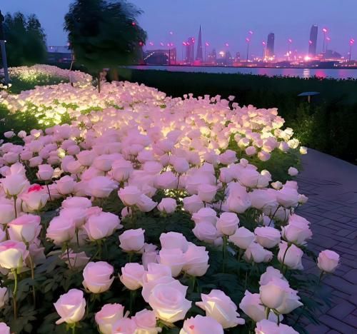 دانلود آهنگ یه جوری به زودی به خوبی حرفای دلمو کاش بشه بزنم صالح رضایی 