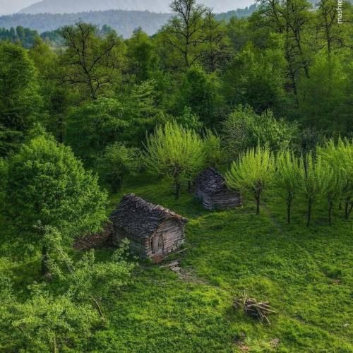 دانلود آهنگ یه روز میای بالا سر قبرم 