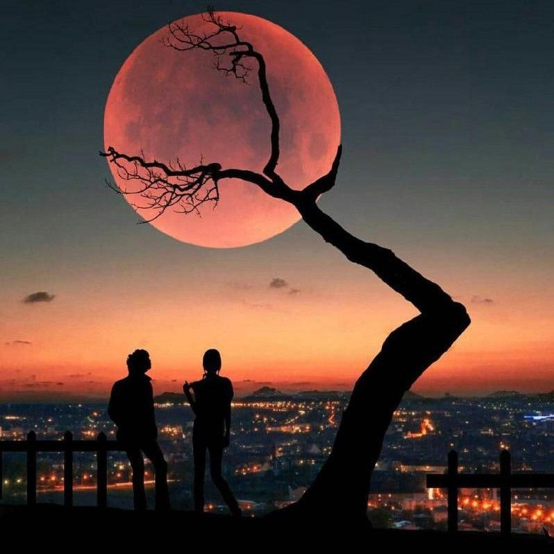 دانلود آهنگ تو شدی خلاصه تو سه تا حرف من ماه تو میشم تو ستارم 