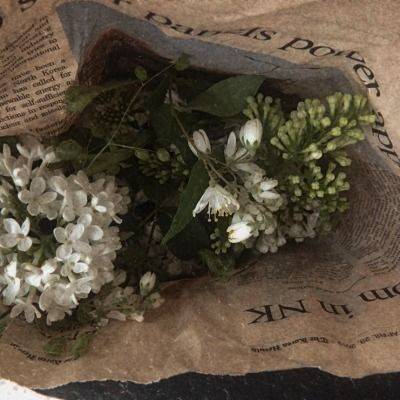 دانلود آهنگ خیلی وقته که دستام سره امشبم خورده به فردام گره سهراب ام جی