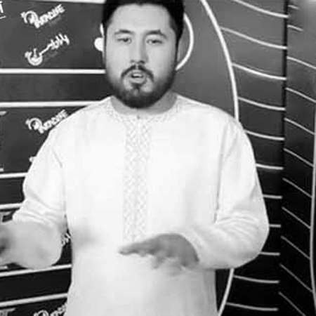 دانلود آهنگ دلبری دل میبری مثل پری افسون گری جادوگری جمال مبارز