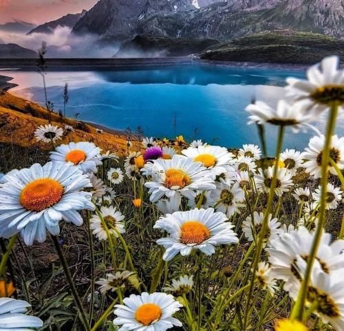 دانلود آهنگ هر وقت خواستم نمونم برم خودم رفتم نیومد دلم 