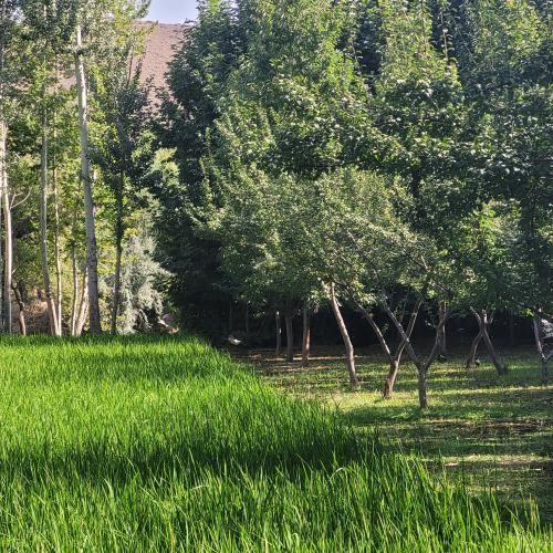دانلود آهنگ بیبی رفته خنده از لبم نزار بدزدن تنو بدنت 