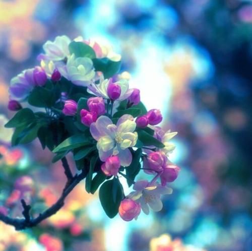 دانلود آهنگ بی تو نمیتونم تونی کل کسونم کسی و چشم 