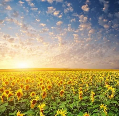 دانلود آهنگ حال میکنم لو نمیرم جلوم پلیسه و پر دوده کل جی وگ 
