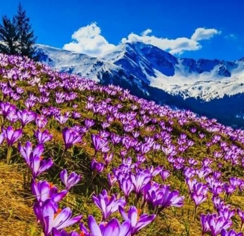 دانلود آهنگ وقتی که واسه خودت میکنی دو دوتا چهارتا 