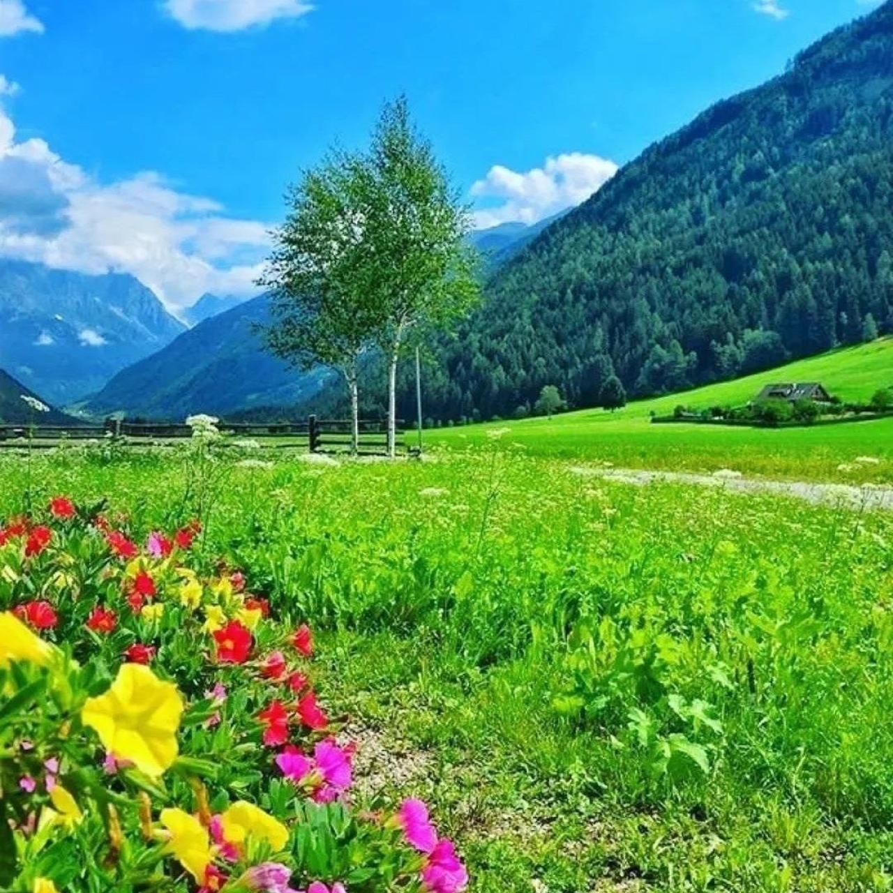 دانلود آهنگ کپله هپله میندازم واسه تو صدقه شب شده بغل منقله 