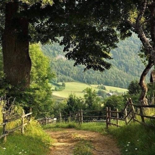 دانلود آهنگ  انگار شدم بی کس هرکی داشتم الان دیگه پیشم نی 
