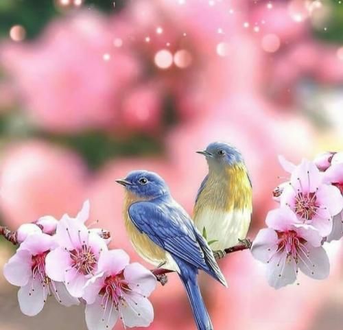 دانلود آهنگ همه اینارو داده یاد من خداوندو ممنونشم شکر 