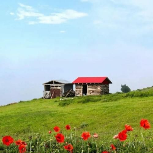 دانلود آهنگ میگه یا این قاطی داره یا من بهار چشما زرده 