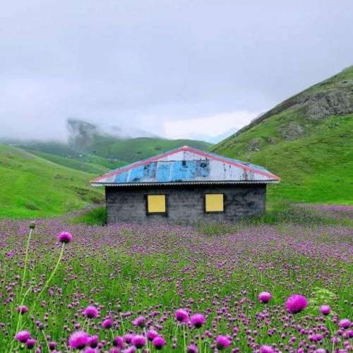 دانلود آهنگ باهات فردارو بگیرم کردی پرواز تو بی من رفتم از یاد تو 