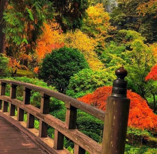 دانلود آهنگ بی بی بی بینگو فلاپ ده جک آسه هند بیبی کینگ 