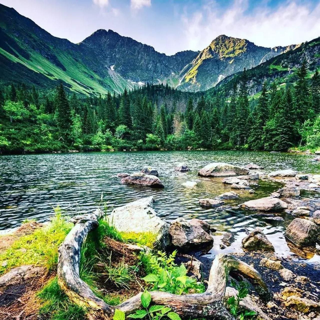 دانلود آهنگ چجوری نخوابیدم دوباره من از دیشب 