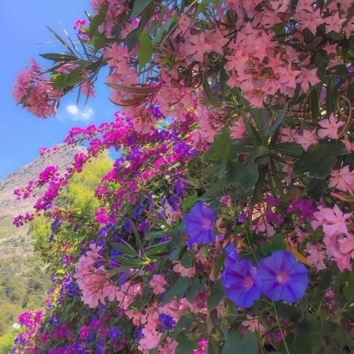 دانلود آهنگ تلخم همچو شراب تو ببین حال مرا 
