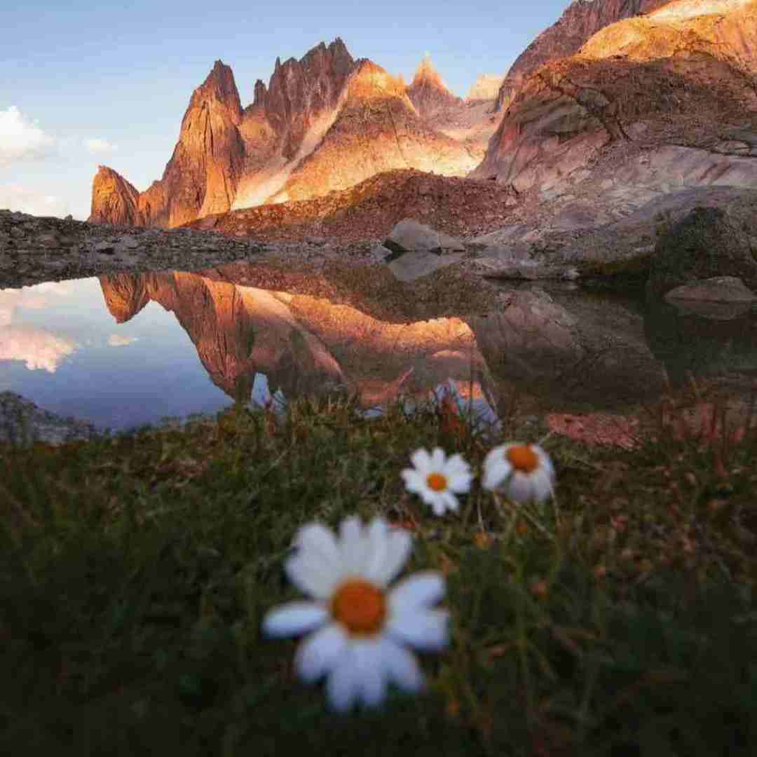 دانلود آهنگ اگه جنگم بشه توپه حالم با صدای باب اسفنجی
