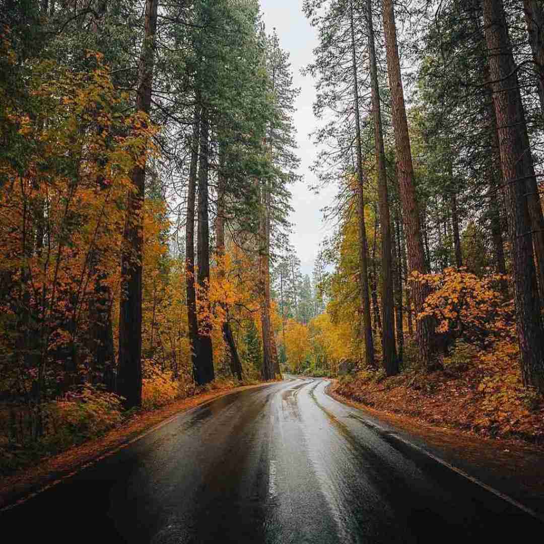 دانلود آهنگ اون خنده های دوست داشتنیتو با صدای غول برره
