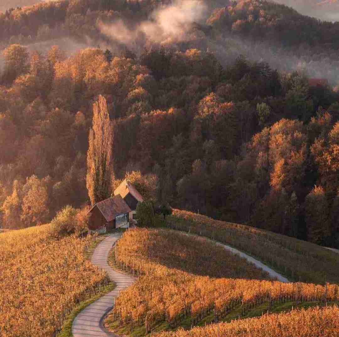 دانلود آهنگ تو خودت داغی قلبت یخی آیسی با دخترا بدی ولی با پسرا نایسی