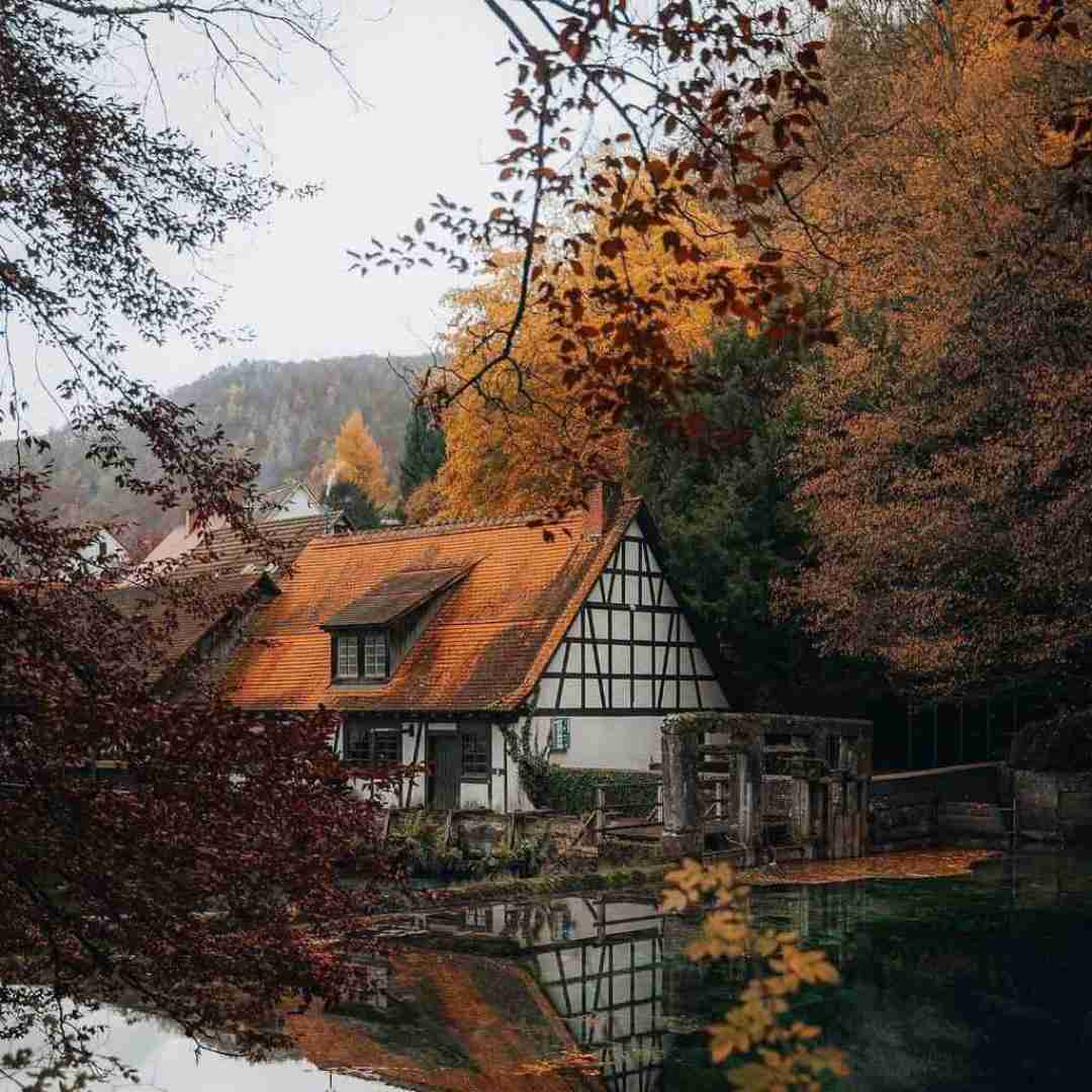 دانلود آهنگ هی ببین اگه بیای میدم حتی رگو اگه میخوای