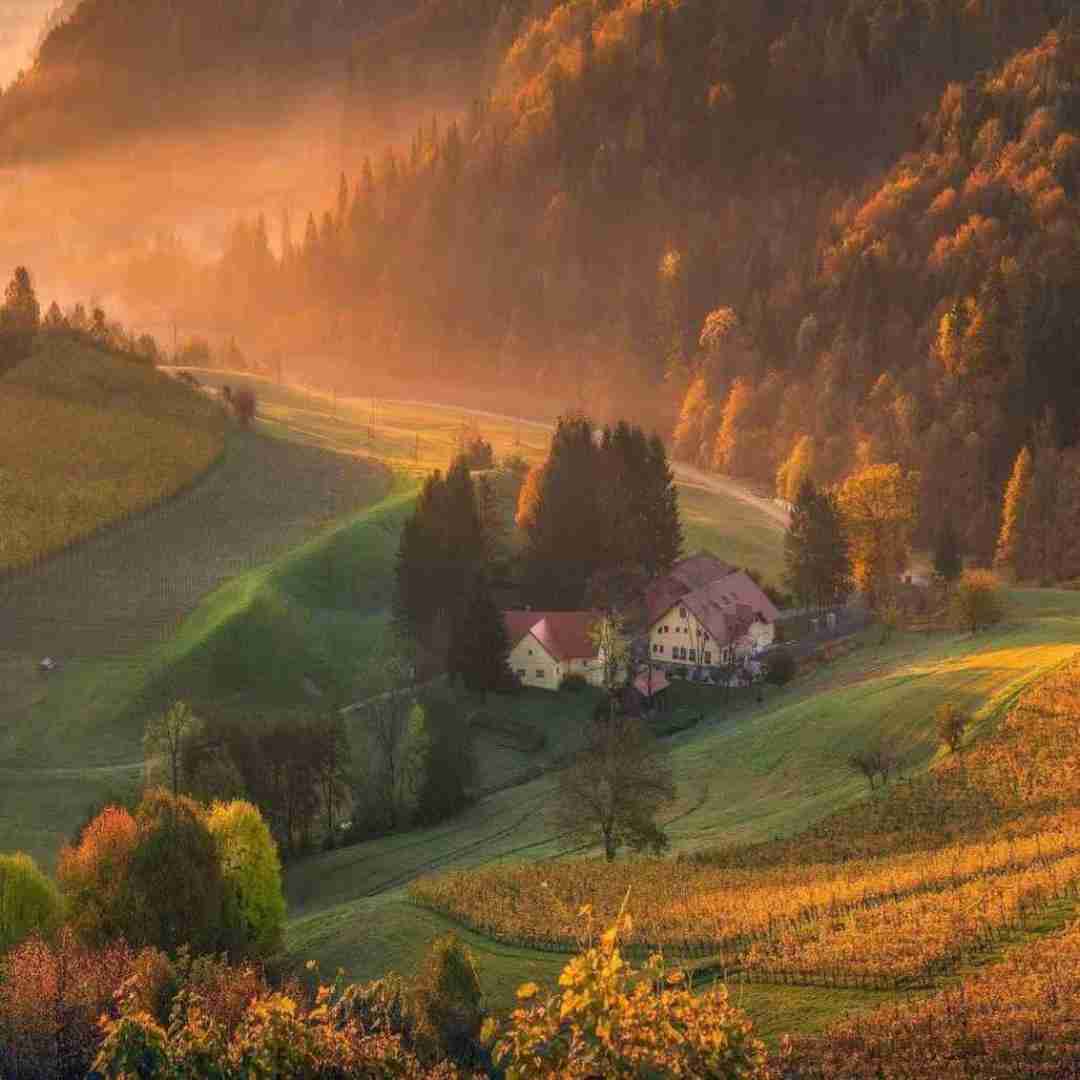 دانلود آهنگ آیسی همه پلاستیکین و تو شیکو کلاسی ولی یکم کمه جنبت