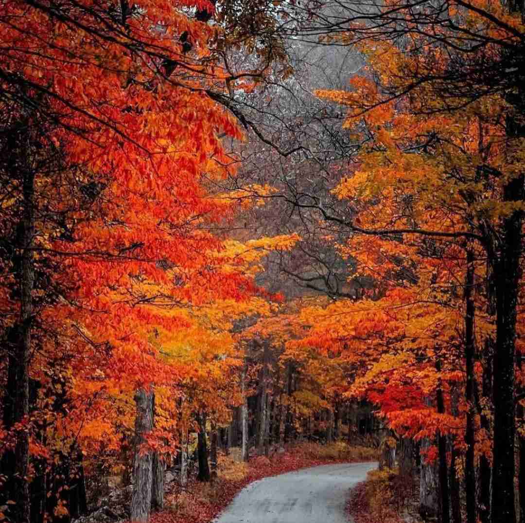 دانلود آهنگ اینا میگن رفتی تو من میگم برمیگردی تو فاصله نگیر ازم