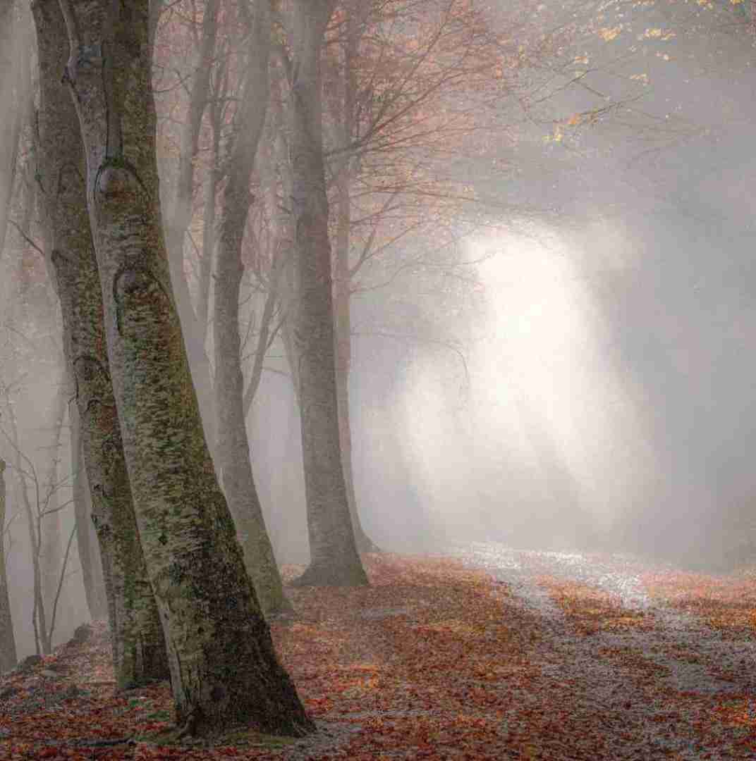 دانلود آهنگ مهم نی کی پشتمه مهم اینه که اگه یه لحظه دیگه وایسی