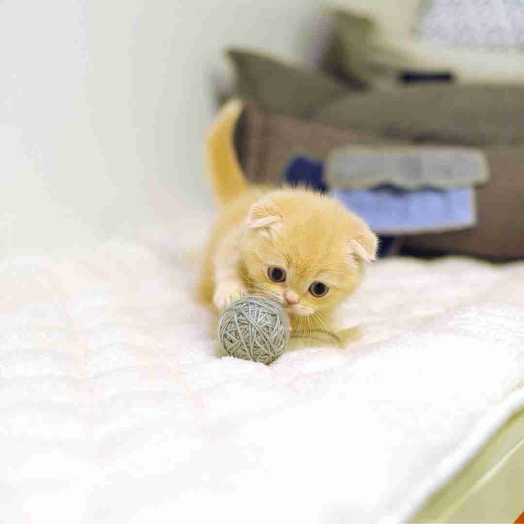 دانلود آهنگ های مای نیم ایز خودم آی ام بلک بورد 