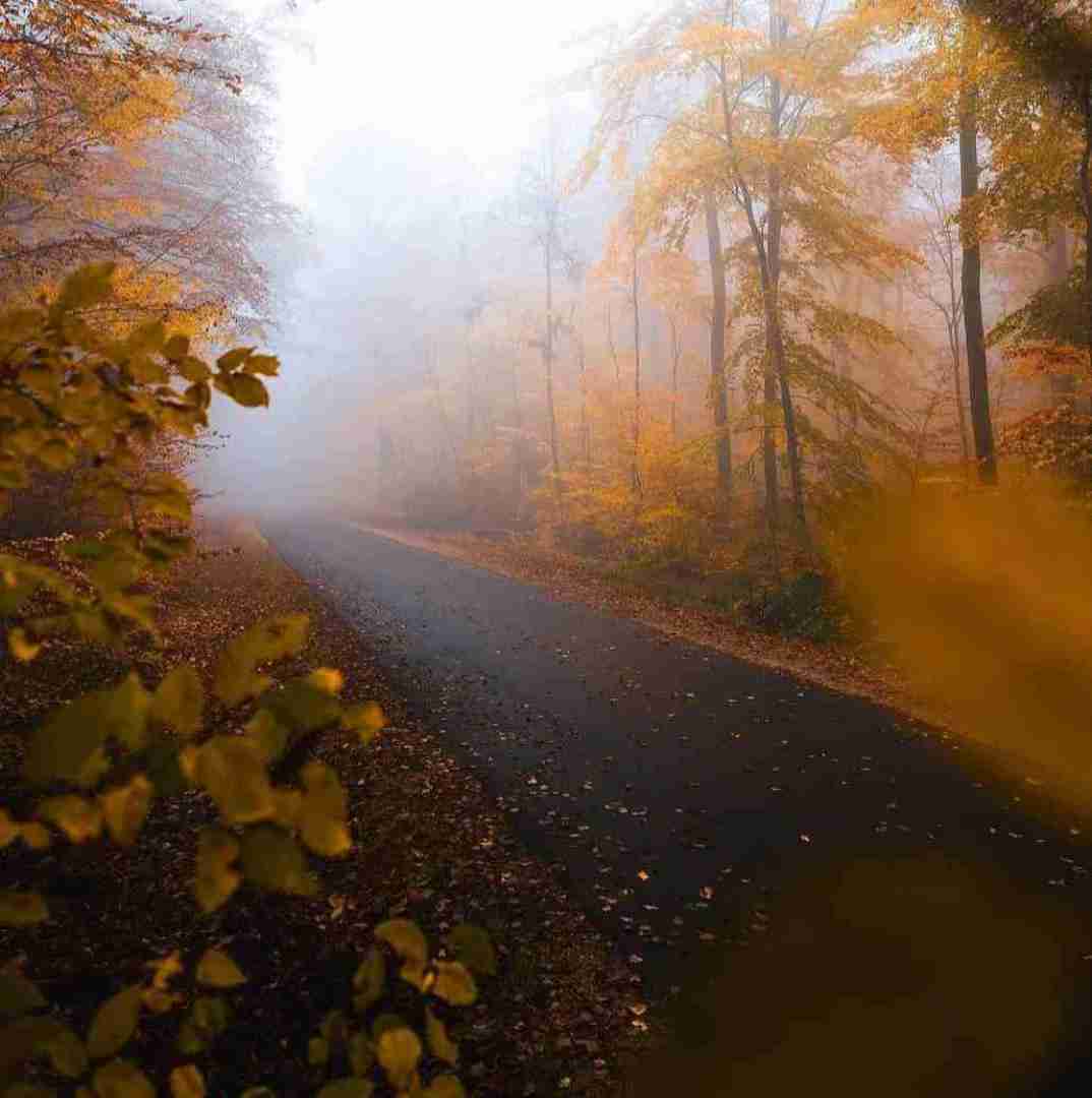 دانلود آهنگ ما همه ترکیمو بربری خوریم هی با صدای دختر 