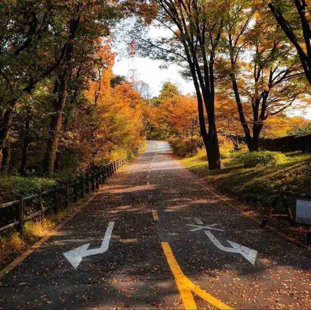 دانلود آهنگ شدم اولین کسی که تو فامیل تتو داشت