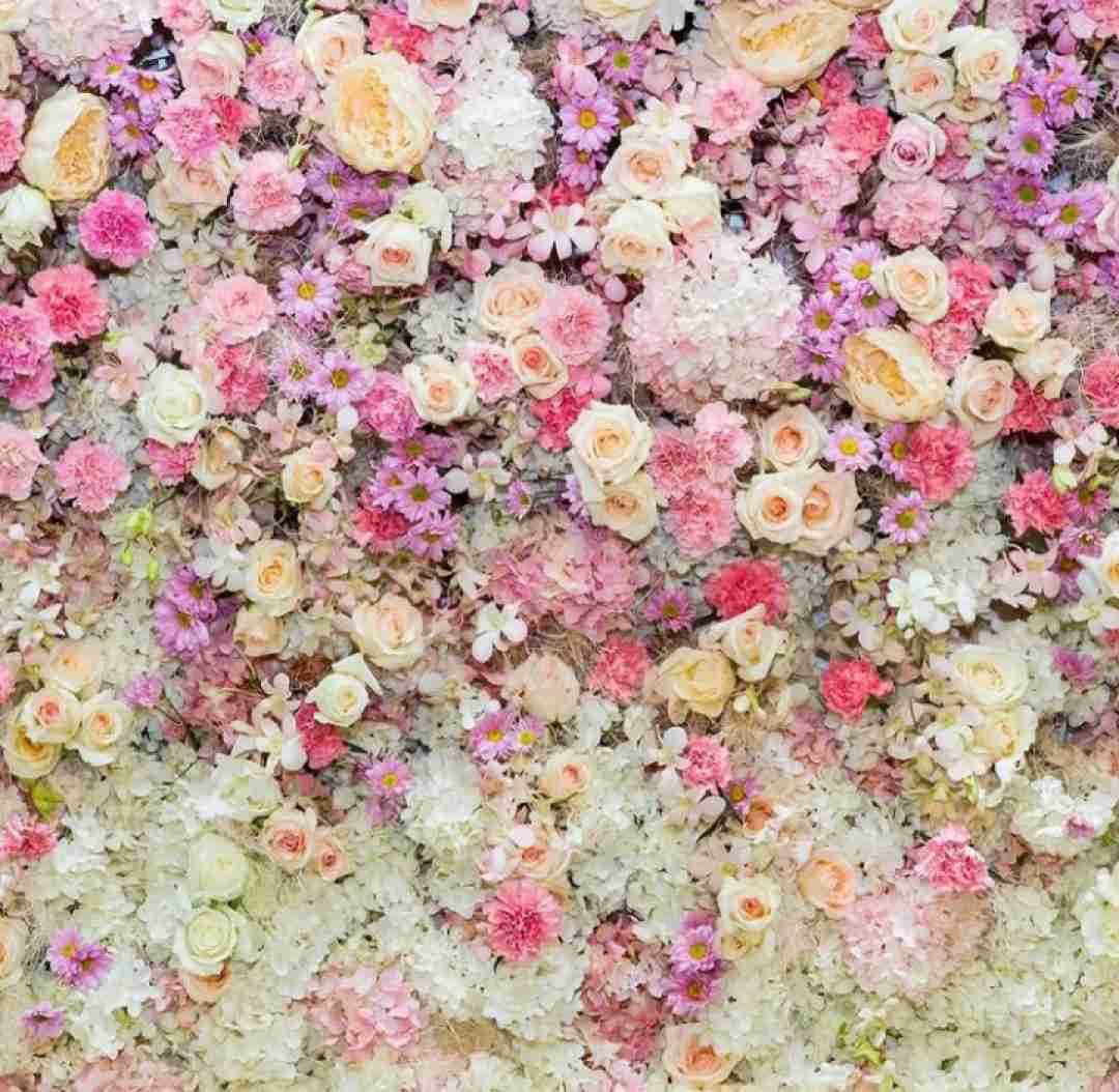 دانلود آهنگ آورد برام خبر یه قاصدک 