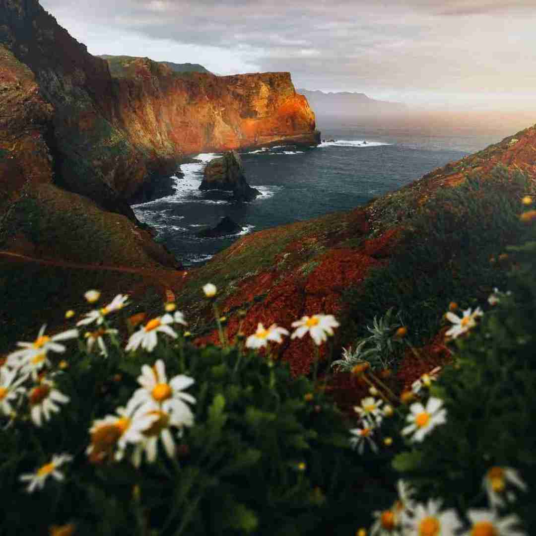 دانلود آهنگ اگه ندارم نای گله مگم هر چند حال دله
