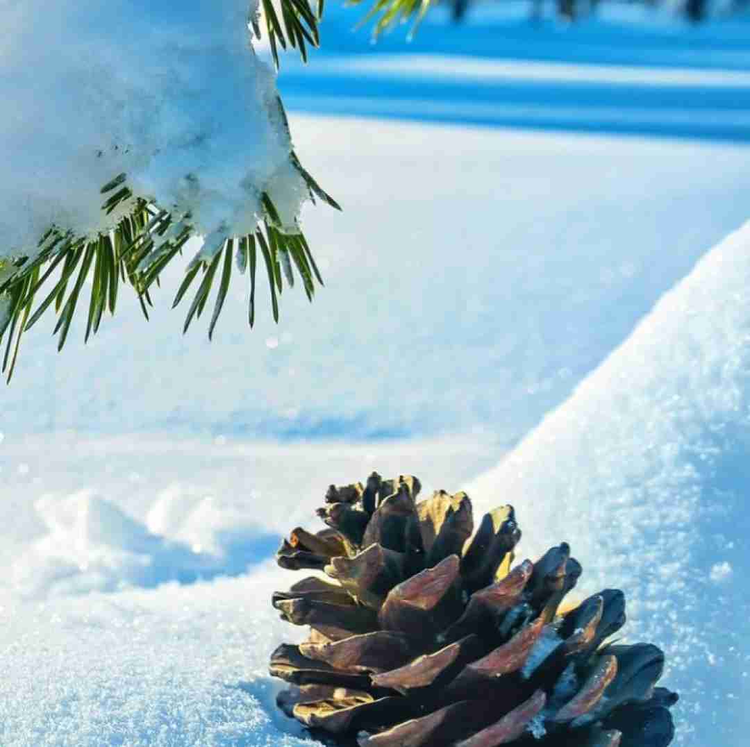 دانلود آهنگ این روزگار بد کرده با قلبم - همخوانی گروهی 