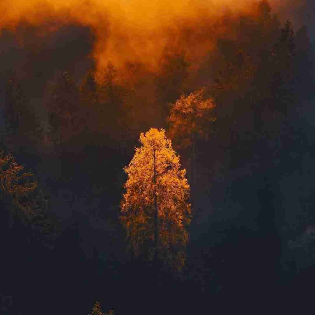 دانلود آهنگ بعد این همه وقت نرسیدن گذاشتی جا منو بگیرن