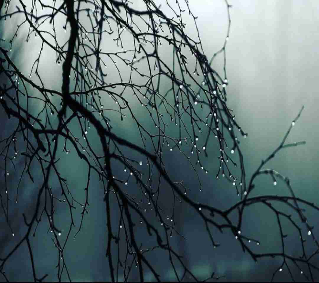 دانلود آهنگ منم اون پسرک خام پسر ناخلف بابام 