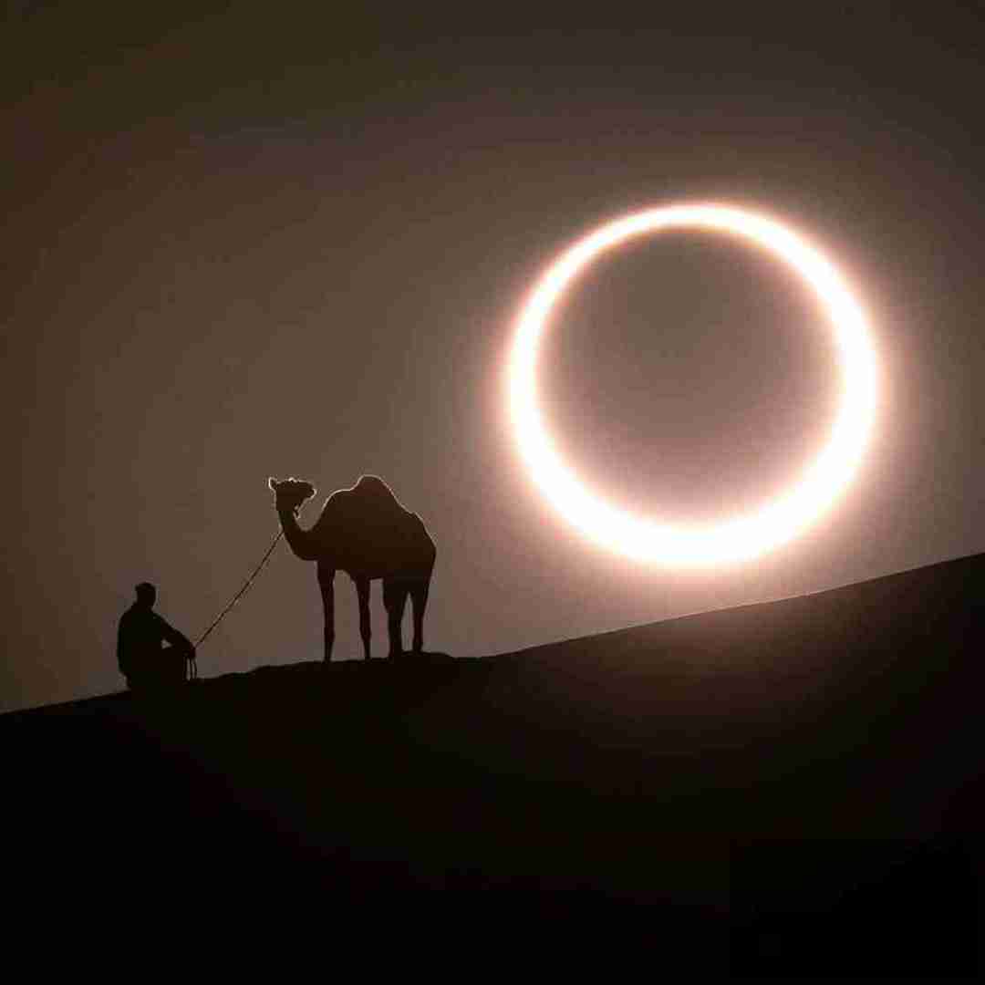 دانلود آهنگ بهت پیله کردم نمی مونی پیشم میمیرم اینجا شادمهر عقیلی