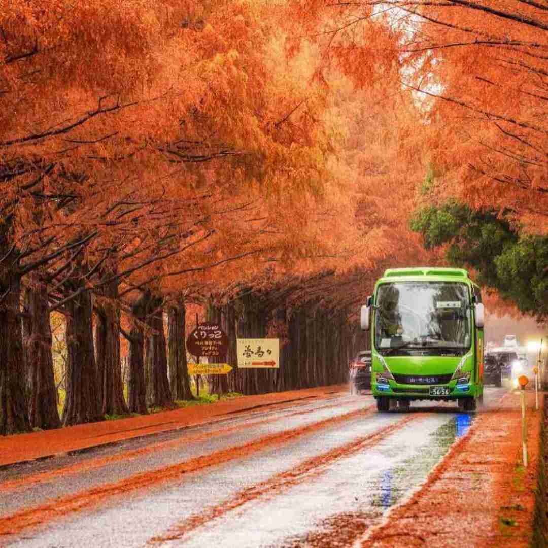 دانلود آهنگ میخوام اوج گرفتن رفیقامو ببینم میخوام خونه