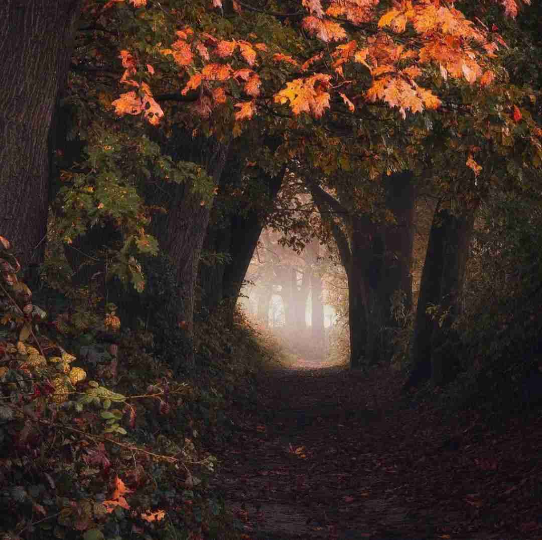 دانلود آهنگ هرجا رسیدی بد منو میگی نمیدونم تو عشق ازم چی دیدی 